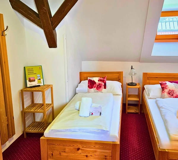 The mountaineer room